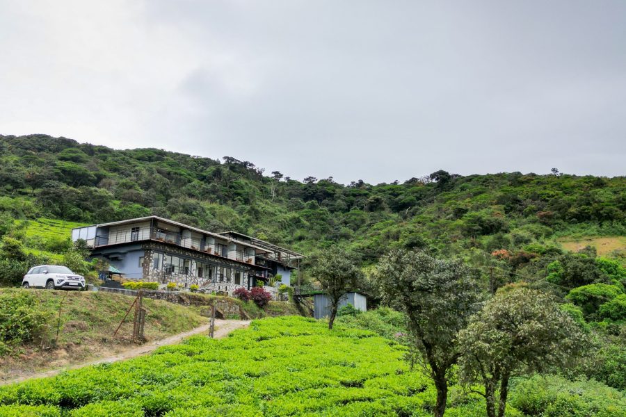 Ibex Stays & trails Valparai (Tale Rock)