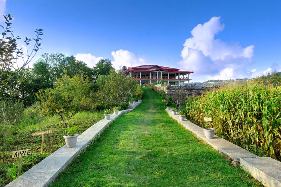 Dyo – The Organic Village Resort, Mukteshwar